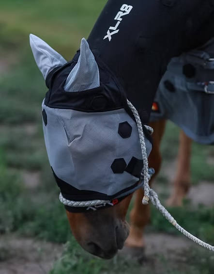 XLR8 fly mask on a horse